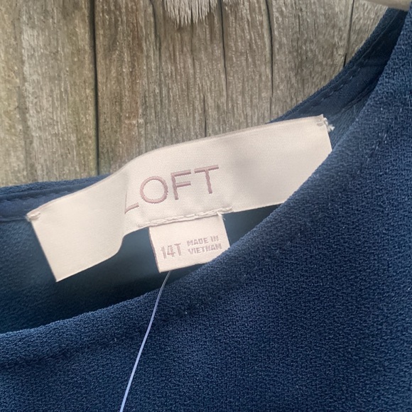 Ann Taylor Loft Dress Fall Winter Long Sleeve Women’s Sz 14T Tall NWT - Picture 6 of 9